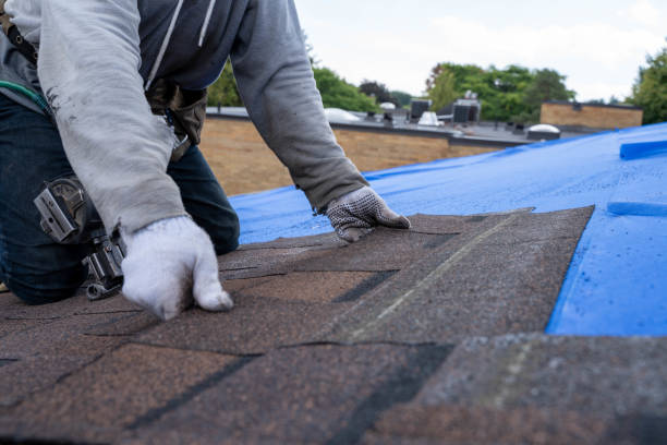 Best Commercial Roofing Services  in Nolensville, TN