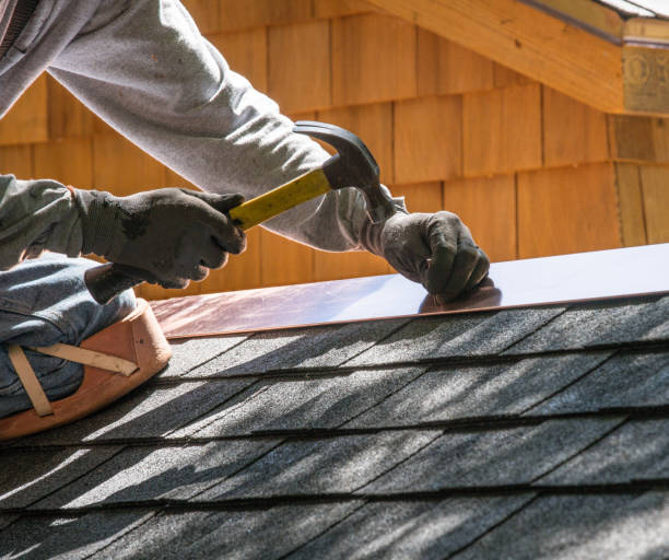 Roof Gutter Cleaning in Nolensville, TN